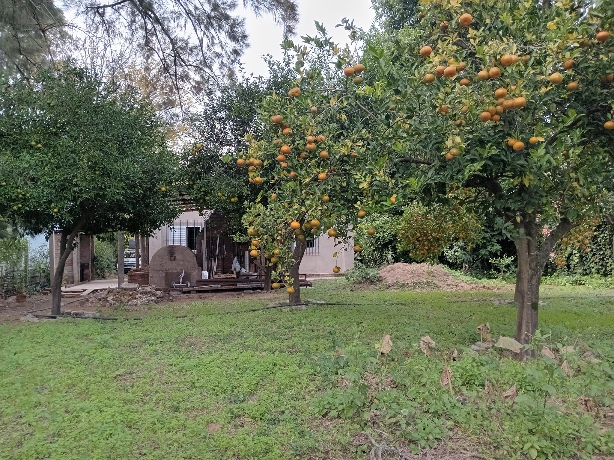 Quinta,En Venta,1488