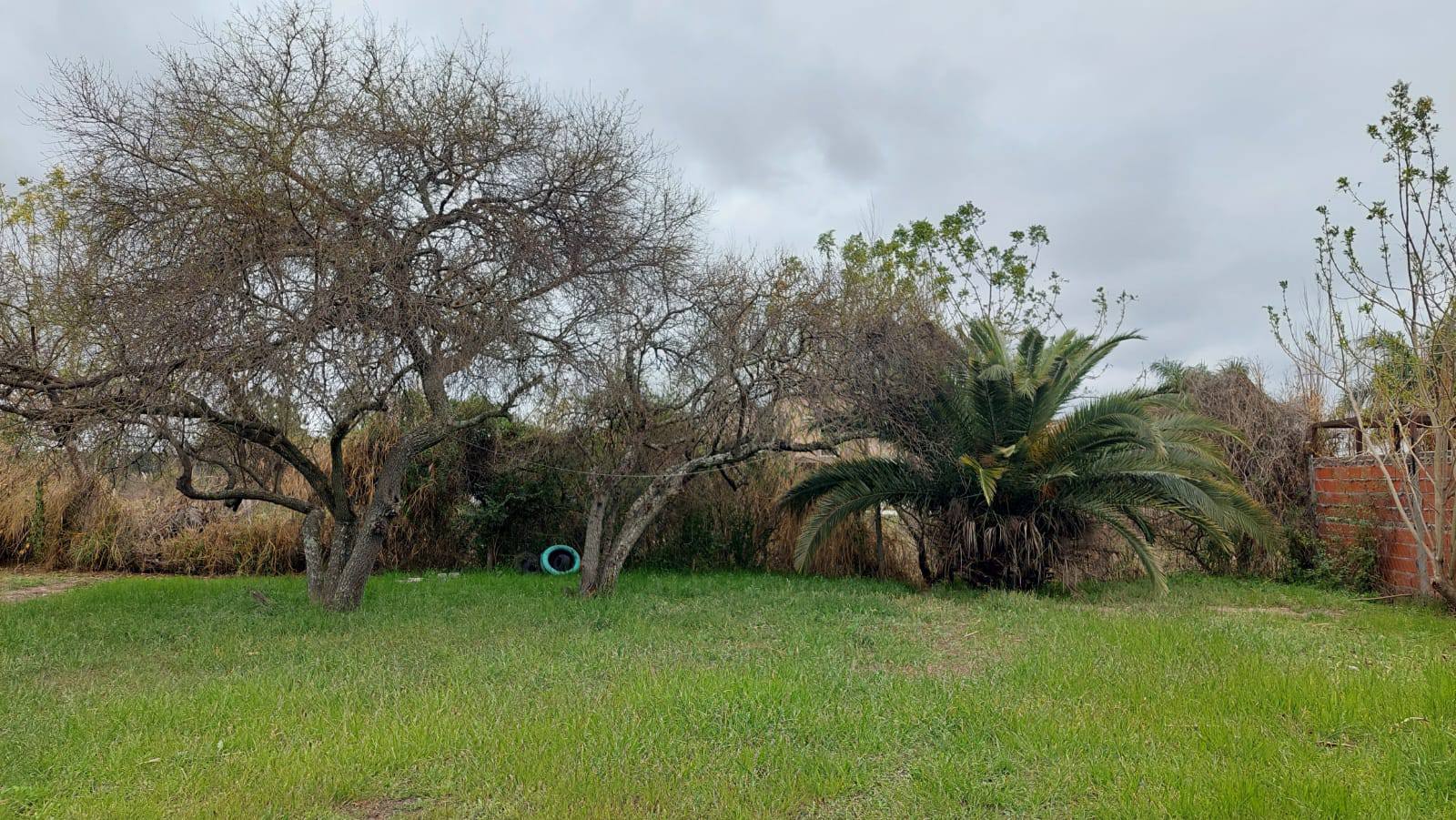Quinta,En Venta,1516