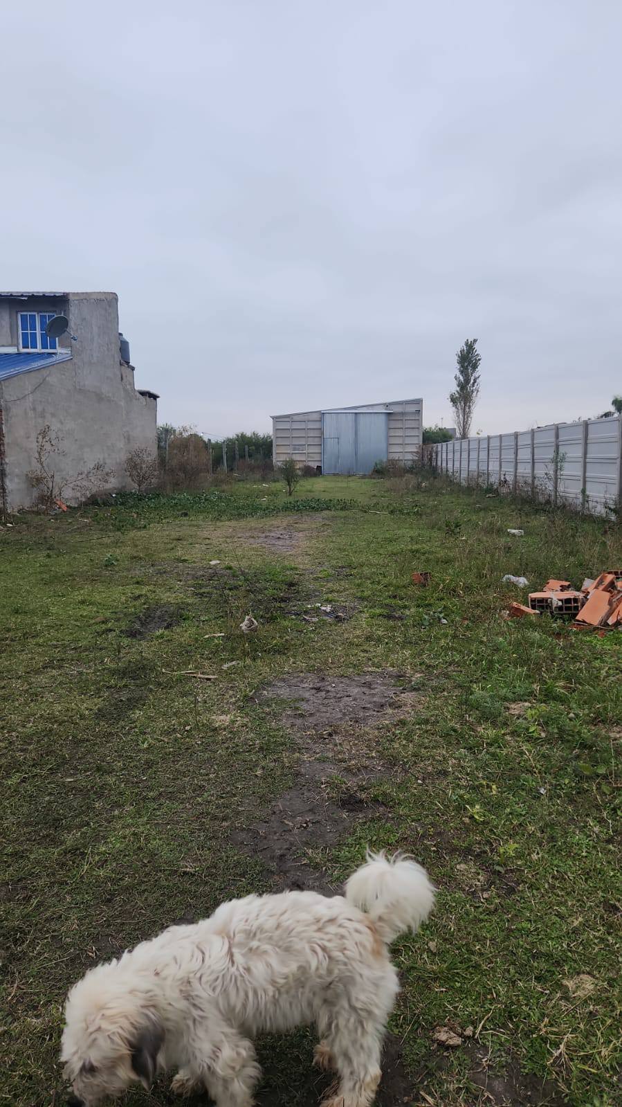 Lote,En Venta,1529