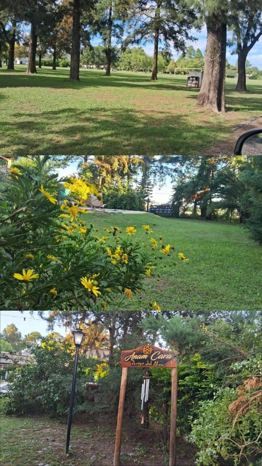 0 , 0 ,0,Quinta,En Venta,0,1782 0 , 0 ,0,Quinta,En Venta,0,1782